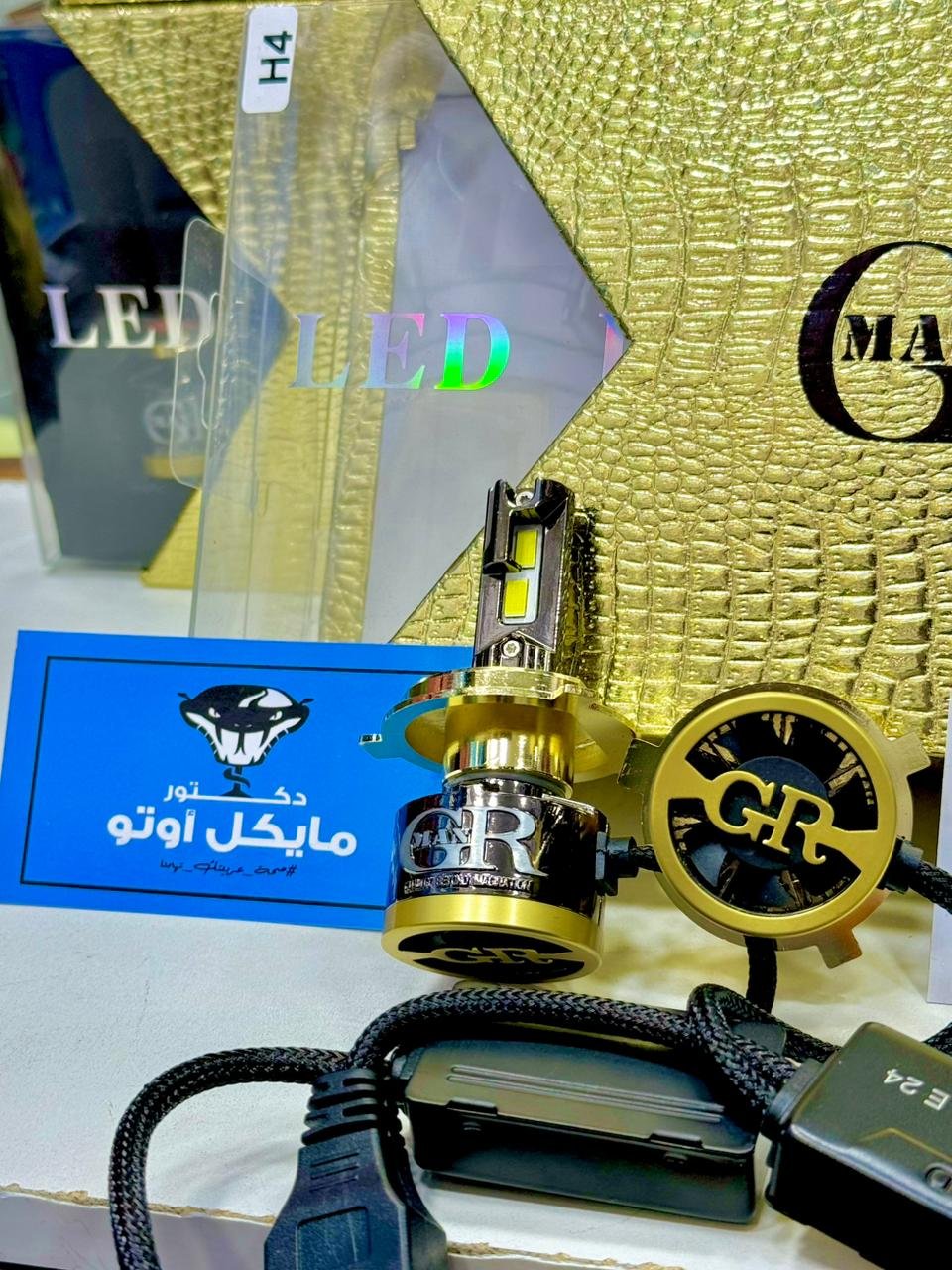 WhatsApp Image 2024-12-17 at 1.38.03 AM